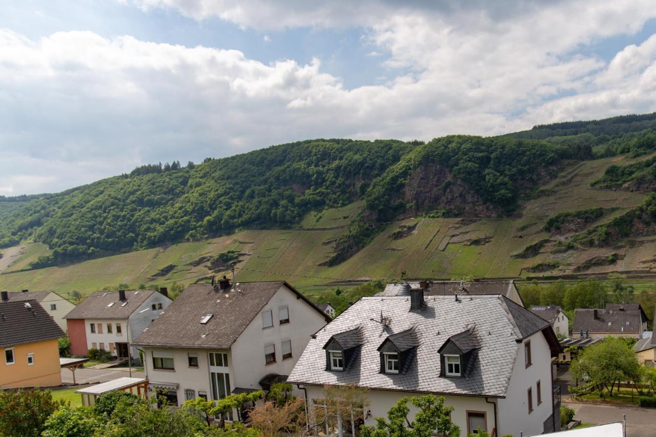 Ferienwohnungen Schorn Burg  Extérieur photo