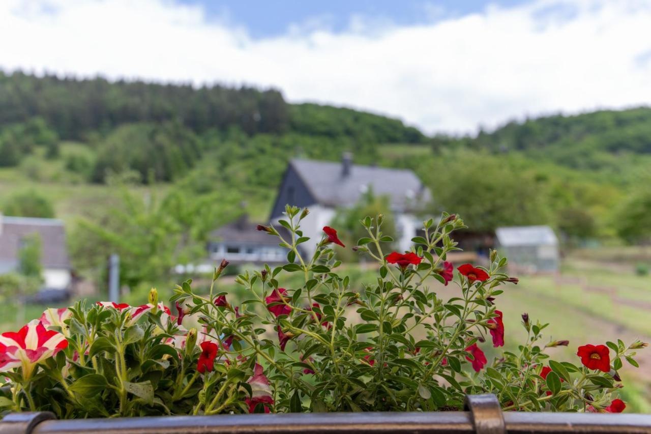 Ferienwohnungen Schorn Burg  Extérieur photo