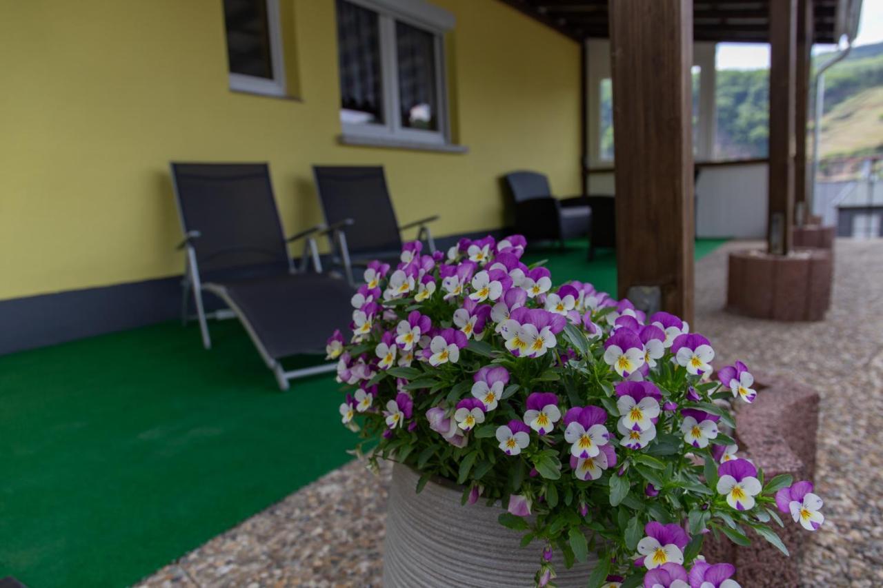 Ferienwohnungen Schorn Burg  Extérieur photo